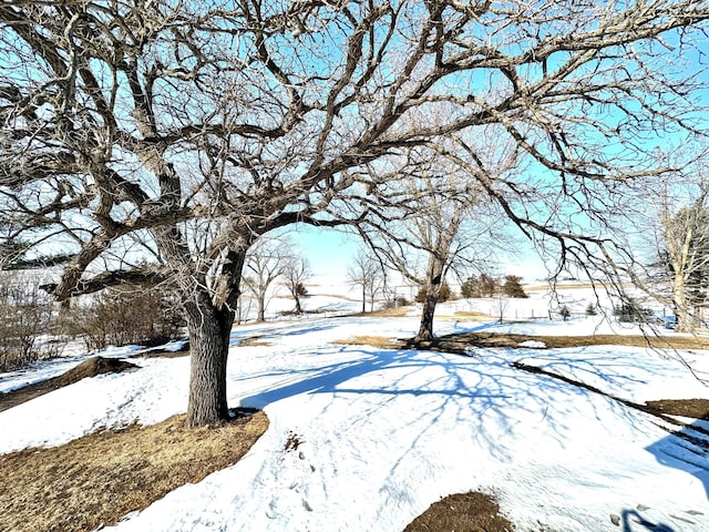 view of snowy yard