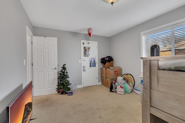 interior space featuring baseboards, carpet floors, and a textured ceiling