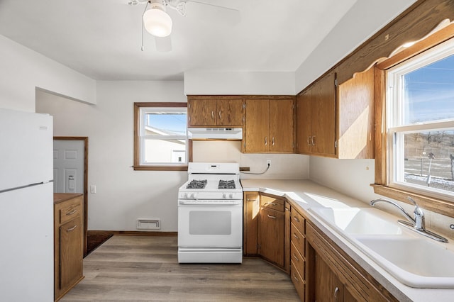 kitchen featuring a sink, under cabinet range hood, wood finished floors, white appliances, and brown cabinetry