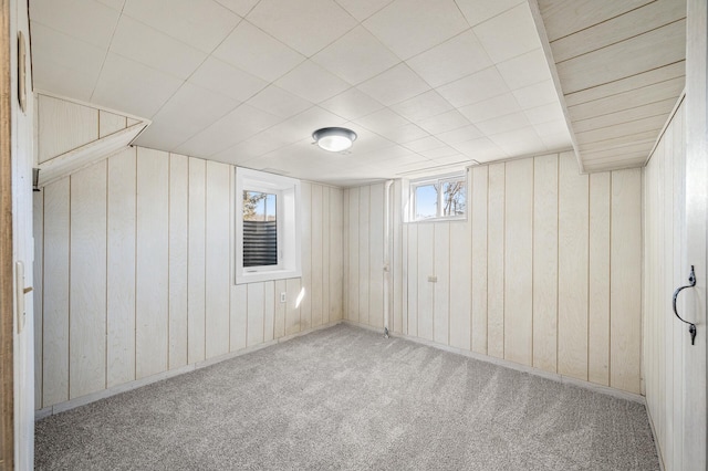 below grade area with carpet and wooden walls