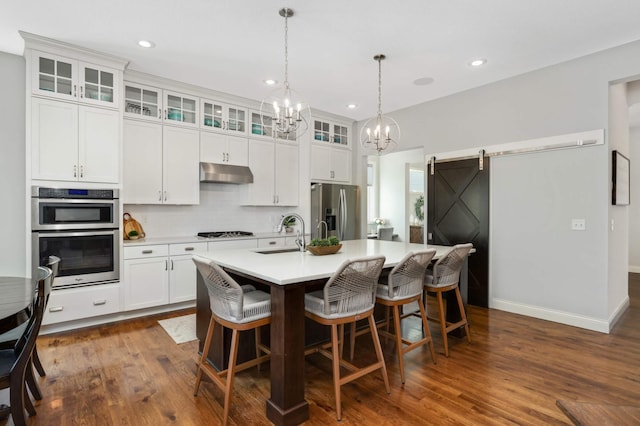 kitchen with light countertops, a barn door, appliances with stainless steel finishes, a sink, and under cabinet range hood