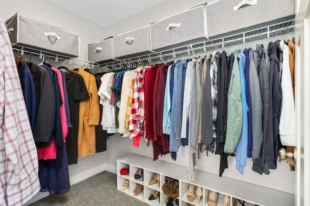 walk in closet with carpet floors