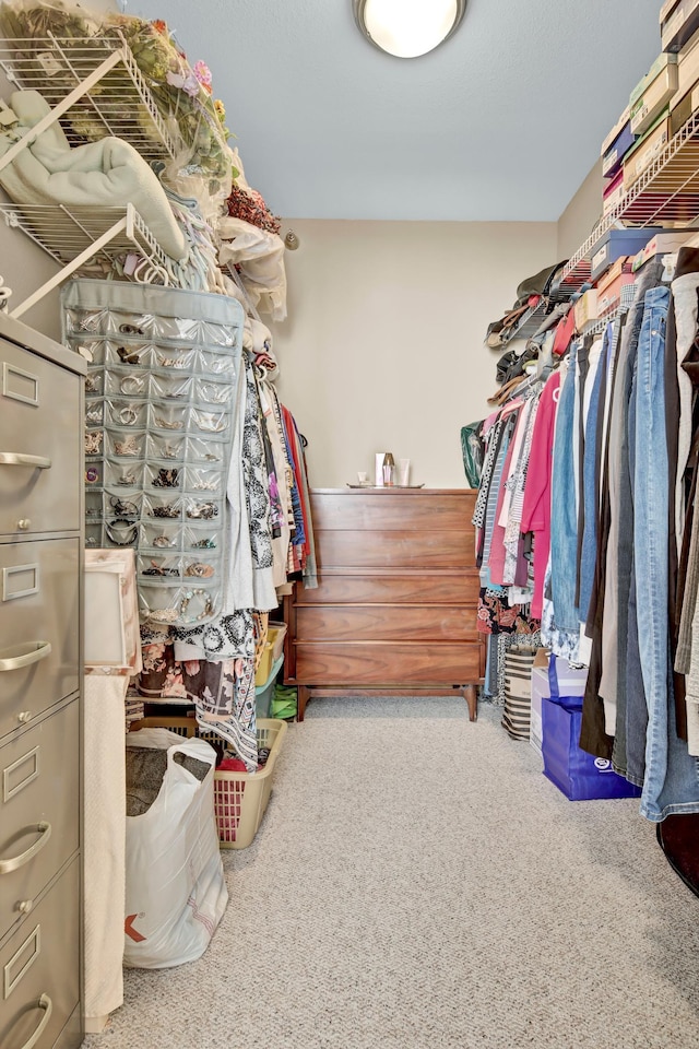 walk in closet featuring carpet