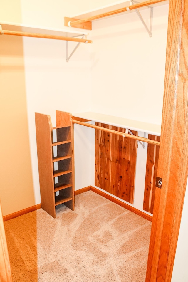 spacious closet with carpet flooring