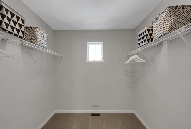 spacious closet with carpet floors