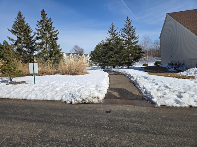 view of yard covered in snow