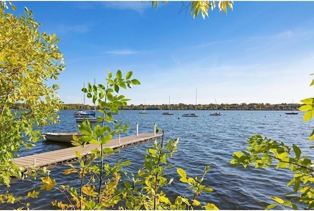 4430 Lake Harriet Pkwy Unit 304, Minneapolis, MN 55410 - photo 17