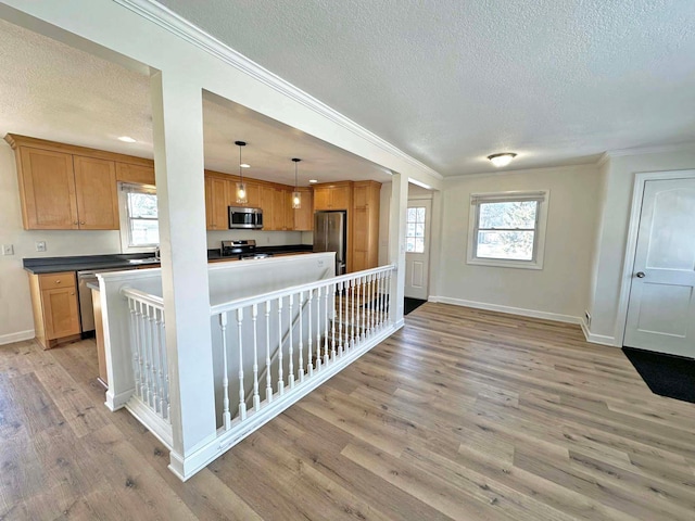 kitchen featuring dark countertops, plenty of natural light, light wood finished floors, and stainless steel appliances