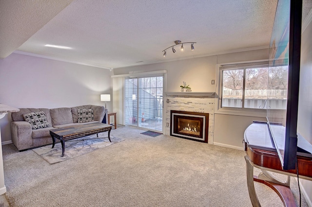 living area with a lit fireplace, a healthy amount of sunlight, ornamental molding, and carpet