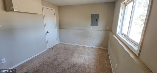 spare room featuring electric panel, carpet flooring, plenty of natural light, and baseboards