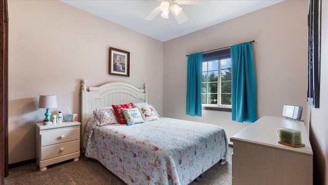 bedroom with a ceiling fan and dark colored carpet