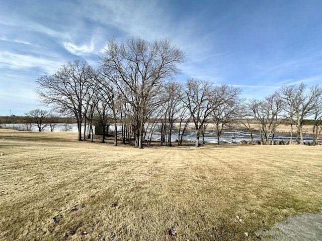 view of yard with a water view