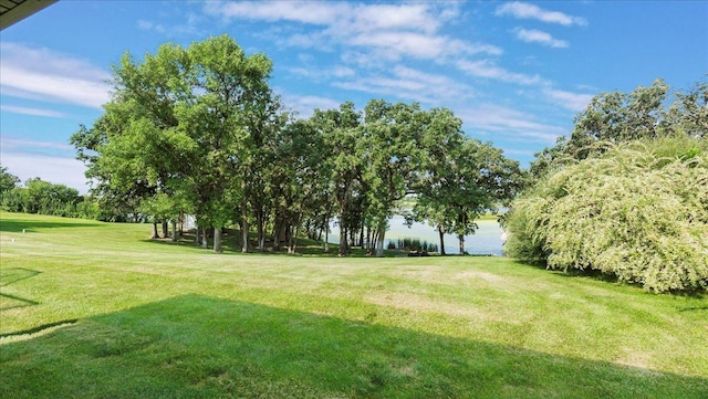 41032 Sauk Lake Rd, Sauk Centre, MN 56378 - view of yard