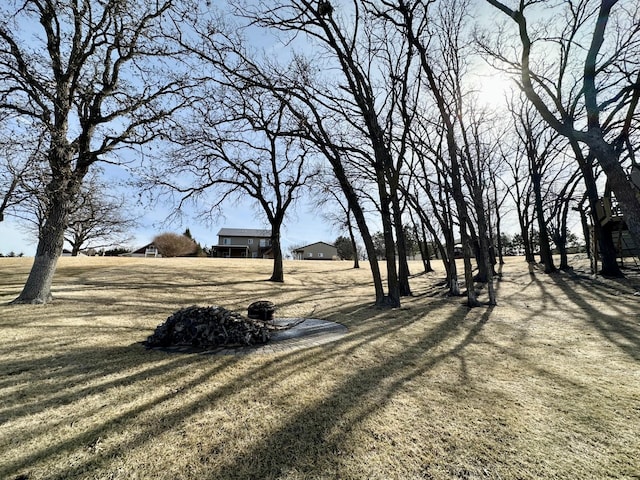 41032 Sauk Lake Rd, Sauk Centre, MN 56378 - view of yard
