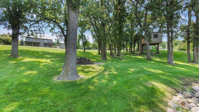 41032 Sauk Lake Rd, Sauk Centre, MN 56378 - view of yard with a deck