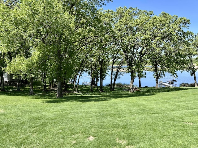 41032 Sauk Lake Rd, Sauk Centre, MN 56378 - view of property's community featuring a lawn