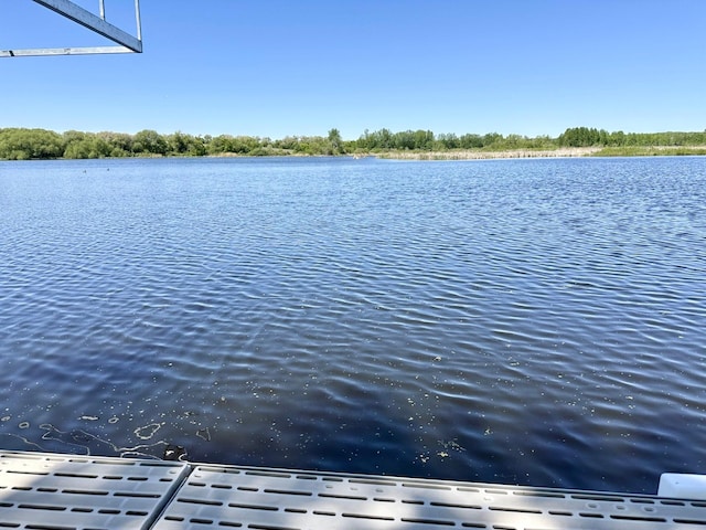 41032 Sauk Lake Rd, Sauk Centre, MN 56378 - water view