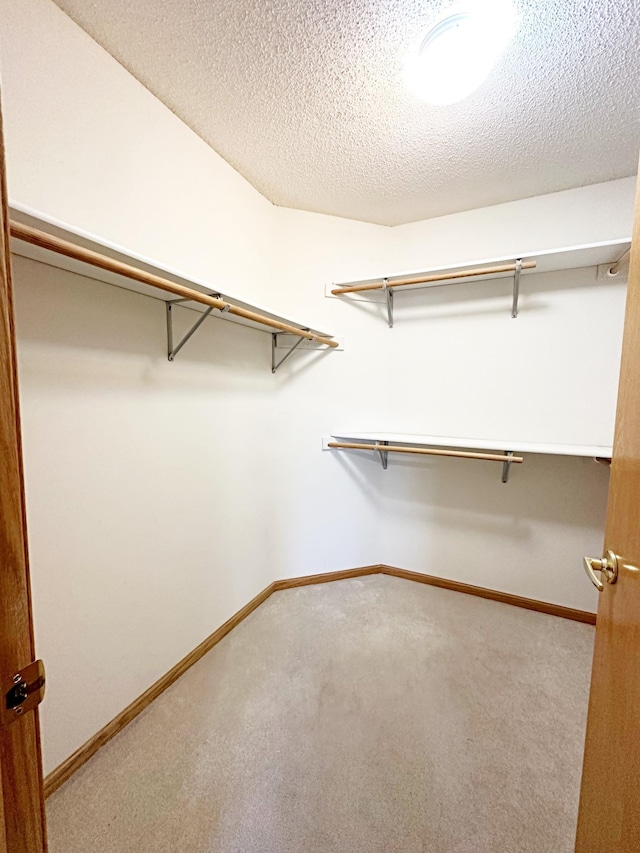 walk in closet with carpet