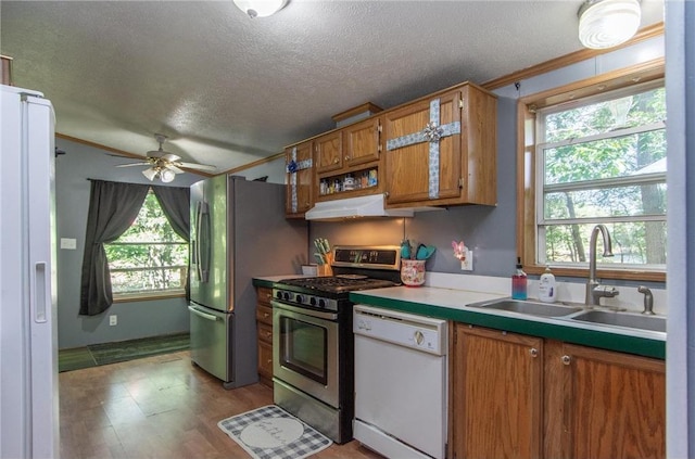 kitchen featuring under cabinet range hood, a sink, a healthy amount of sunlight, appliances with stainless steel finishes, and brown cabinetry