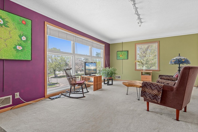 1938 Sheridan Ave, Saint Paul, MN 55116 - living area featuring track lighting, carpet floors, a textured ceiling, and baseboards