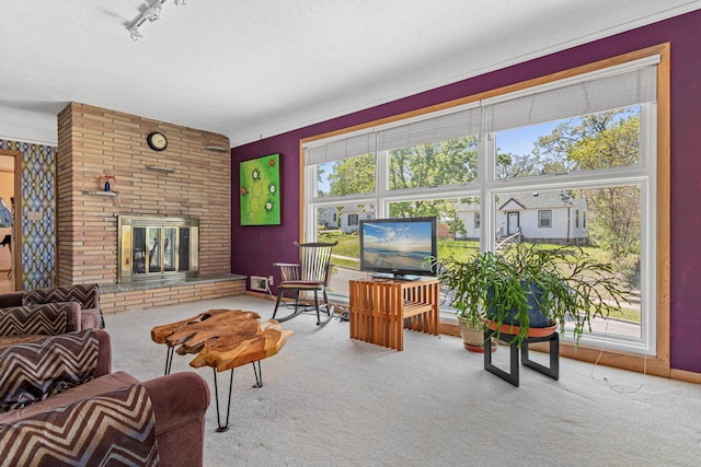 1938 Sheridan Ave, Saint Paul, MN 55116 - living room featuring carpet, a fireplace, and a textured ceiling