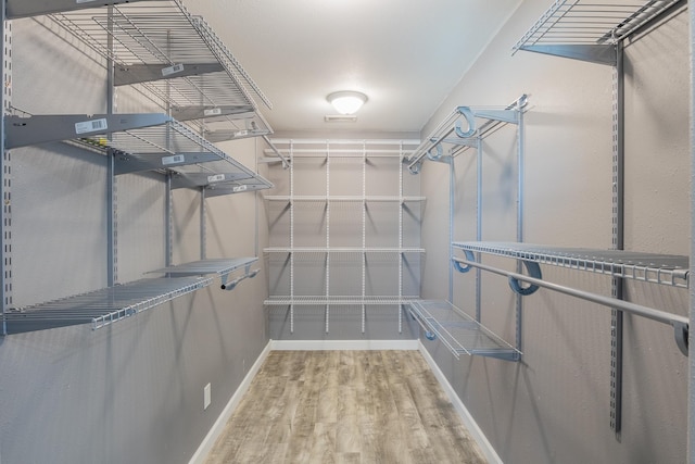 walk in closet with wood finished floors