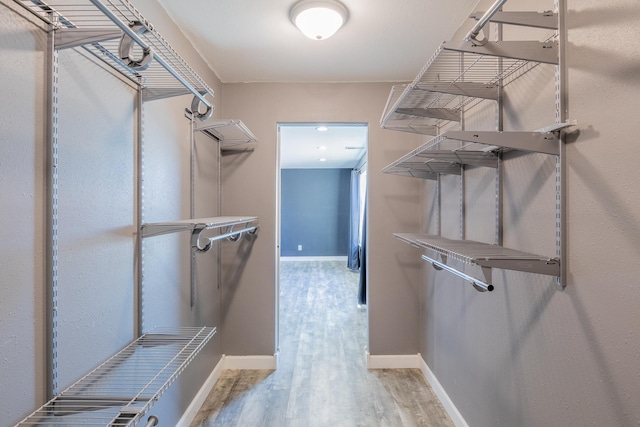 spacious closet featuring wood finished floors