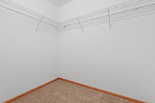 walk in closet featuring light carpet