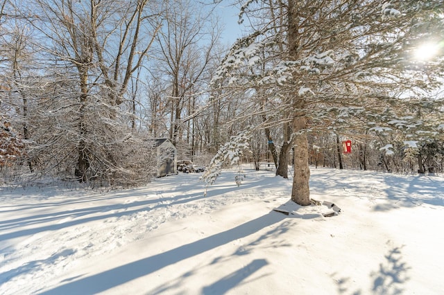 view of yard covered in snow