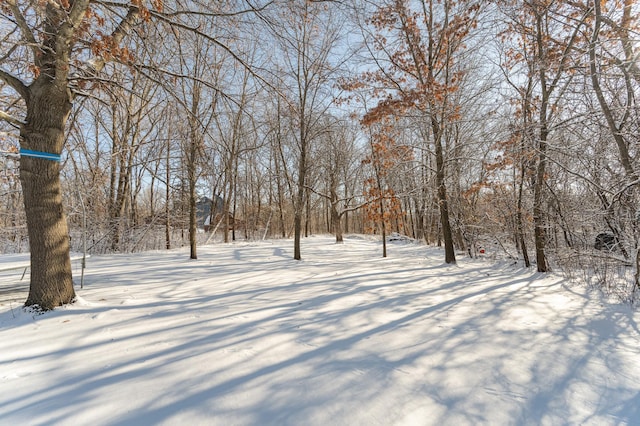 view of yard covered in snow