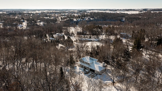 bird's eye view