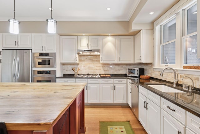 kitchen with a sink, crown molding, under cabinet range hood, and stainless steel appliances