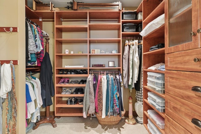 walk in closet featuring carpet flooring