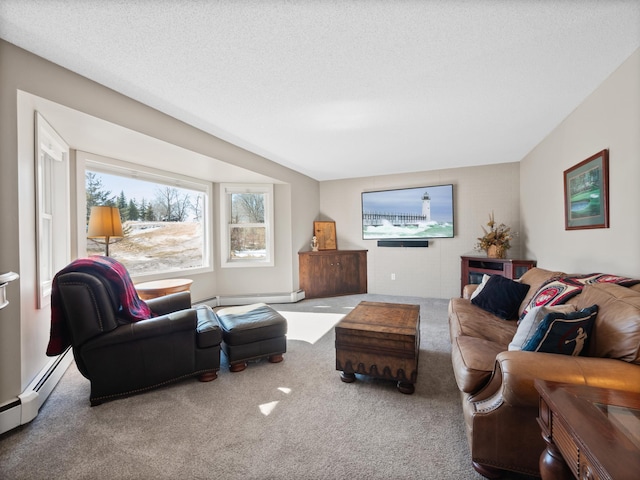 17170 Highview Ave, Minnewaska Twp, MN 56334 - living area with carpet and baseboard heating