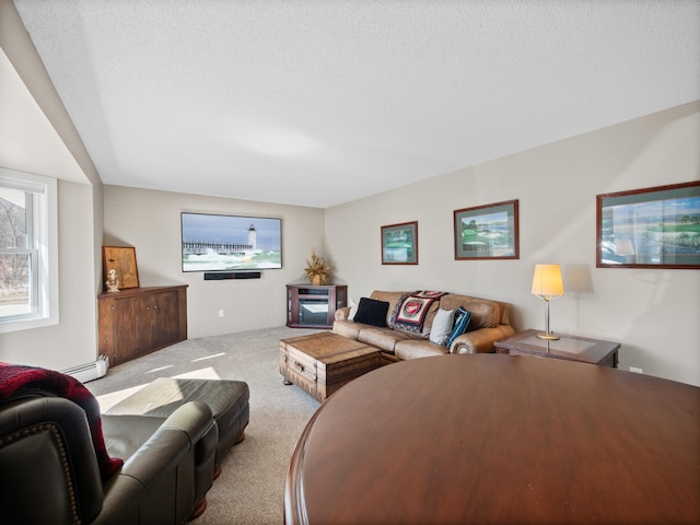 17170 Highview Ave, Minnewaska Twp, MN 56334 - living room featuring a baseboard radiator, carpet, and a textured ceiling