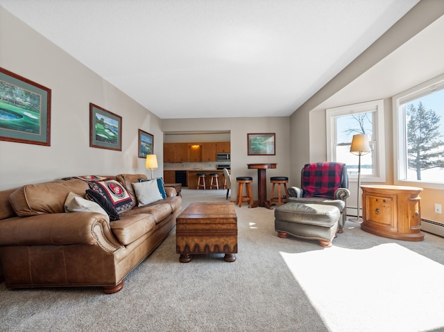 17170 Highview Ave, Minnewaska Twp, MN 56334 - carpeted living area featuring a baseboard radiator