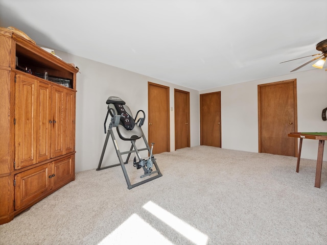 17170 Highview Ave, Minnewaska Twp, MN 56334 - exercise room with carpet floors and a ceiling fan