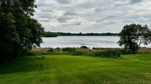 17170 Highview Ave, Minnewaska Twp, MN 56334 - water view