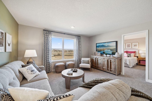 carpeted living area featuring a textured ceiling and baseboards