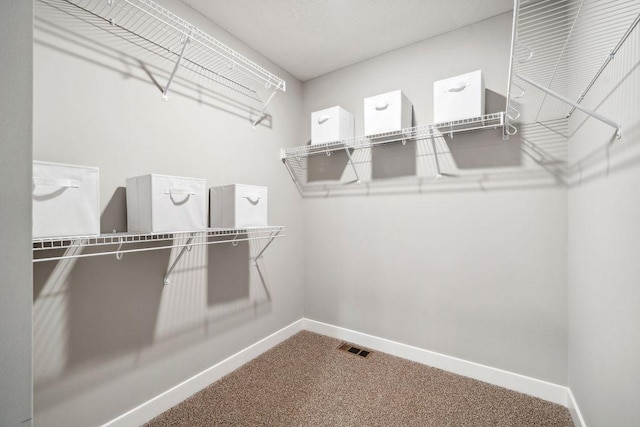 spacious closet with carpet flooring and visible vents