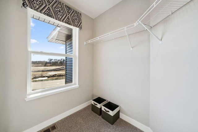 spacious closet with carpet floors and visible vents