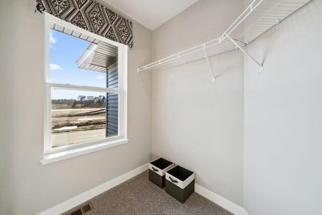 6181 Jensen Alcove S, Cottage Grove, MN 55016 - photo 54