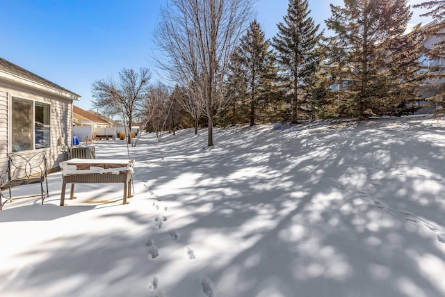 view of yard layered in snow