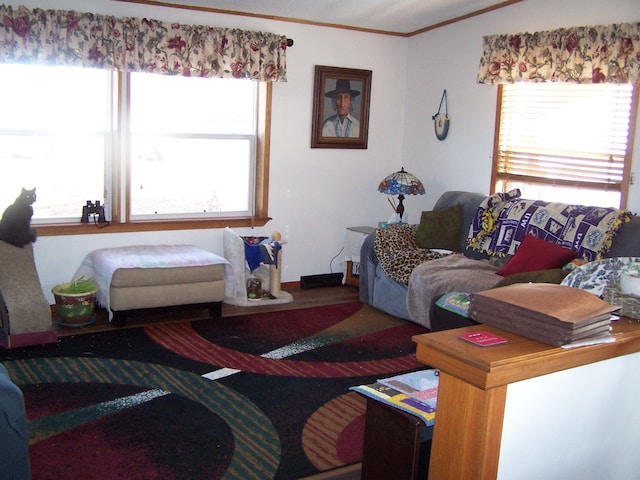 living area with crown molding