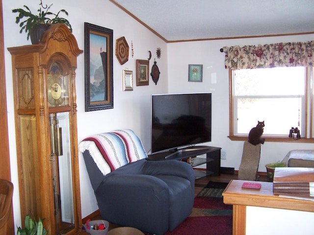 living area featuring crown molding