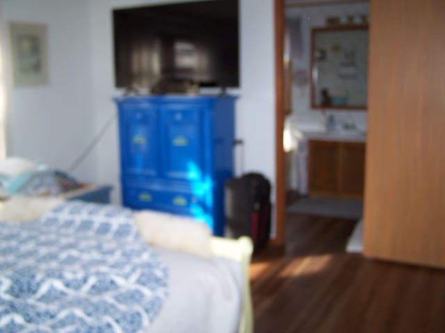 bedroom featuring dark wood-type flooring