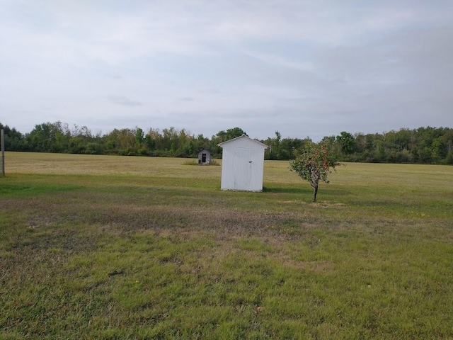 view of yard with a storage shed and an outdoor structure