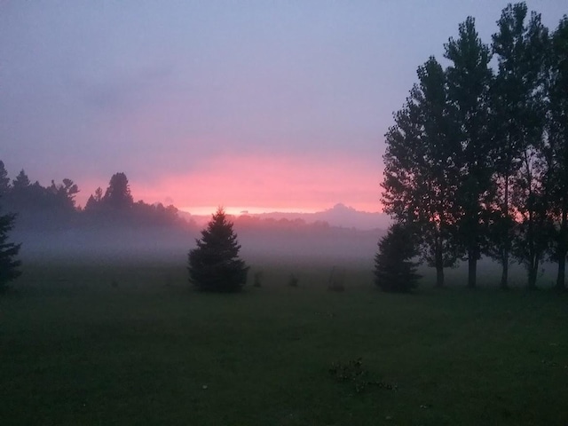 view of nature at dusk