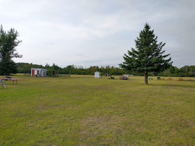 view of yard featuring an outbuilding and a storage unit