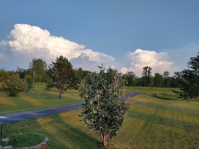 view of community with a yard